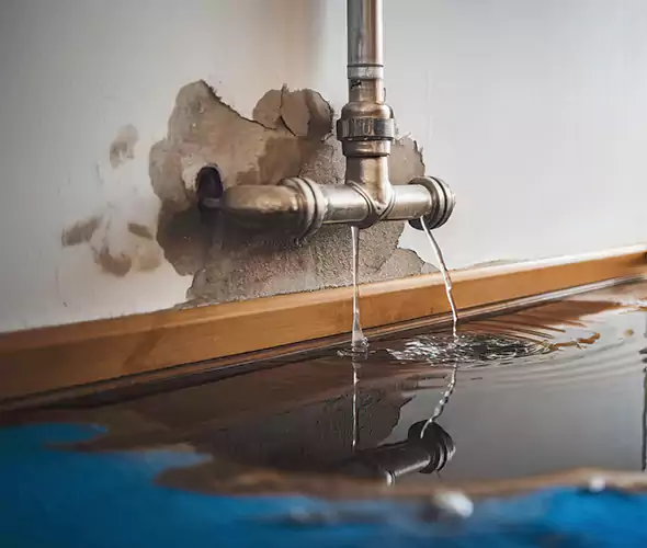 Professional Water Damage Restoration Experts in Hollywood, FL — Fast, Reliable & Certified