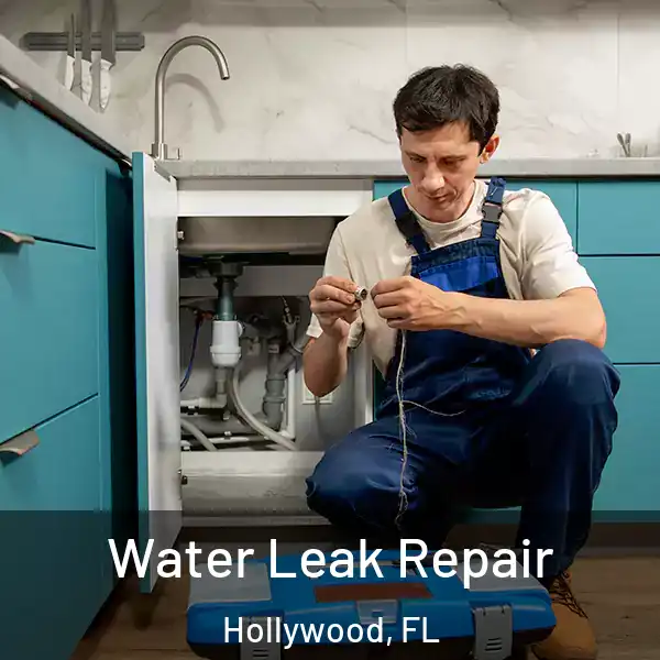  Water Leak Repair Hollywood, FL
